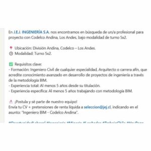 Ingeniero BIM - Codelco Andina