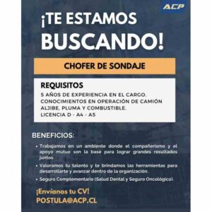 Chofer de sondaje