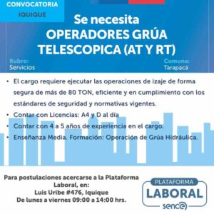 Operadores Grúa Telescópica