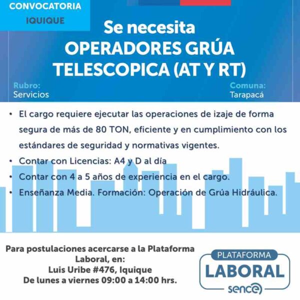 Operadores Grúa Telescópica