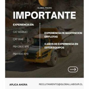 Importante: experiencia en mantención de flotas