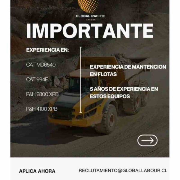 Importante: experiencia en mantención de flotas