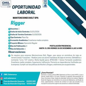 Rigger Mina - Mantenciones Bolt Spa