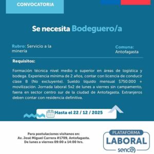Se necesita Bodeguero/a – Minería (Antofagasta)