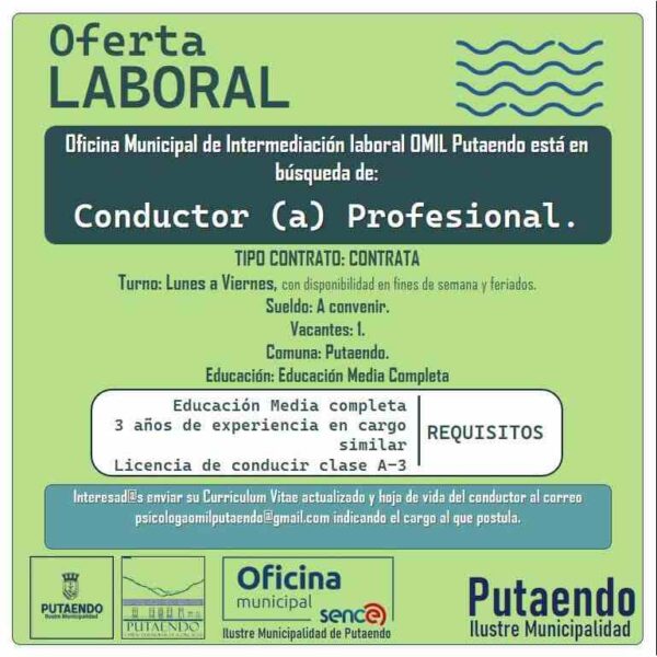 Conductor Profesional - OMIL Putaendo