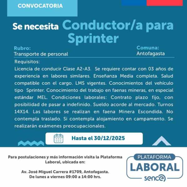 Conductor/a para Sprinter