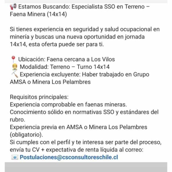 Especialista SSO en Terreno – Faena Minera (14x14)