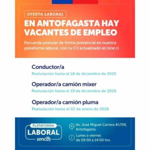 Vacantes en Antofagasta: conductor/a, operador/a camión mixer y camión pluma