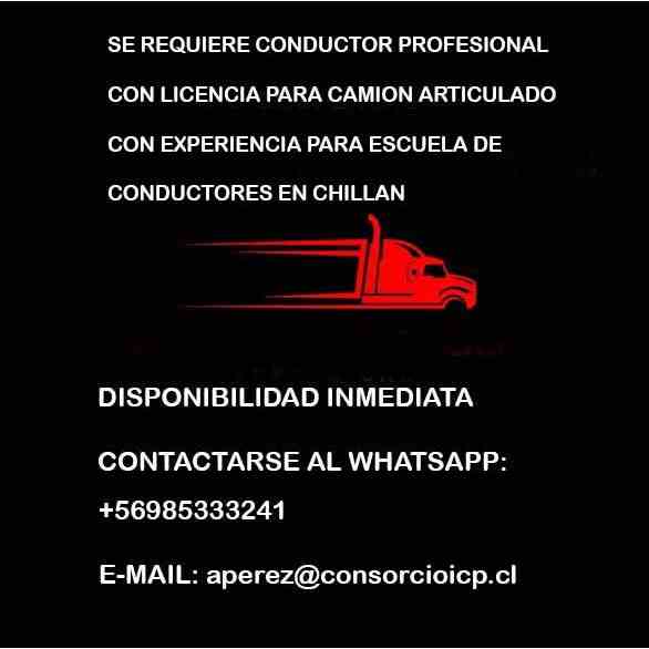 Conductor profesional con licencia para camión articulado – Chillán