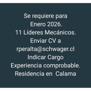 11 Líderes Mecánicos - Calama