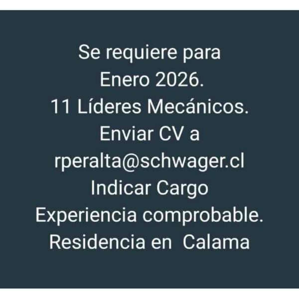 11 Líderes Mecánicos - Calama