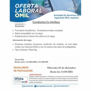 Conductor/a de minibús