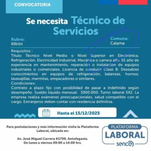 Técnico de Servicios