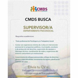 Supervisor/a - Departamento Psicosocial