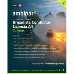 Brigadista Conductor Licencia A4 - Calama