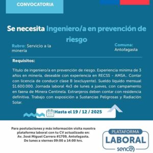 Ingeniero/a en prevención de riesgos - Minería