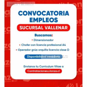 Empleos Sucursal Vallenar: Dimensionador, Chofer y Grúa