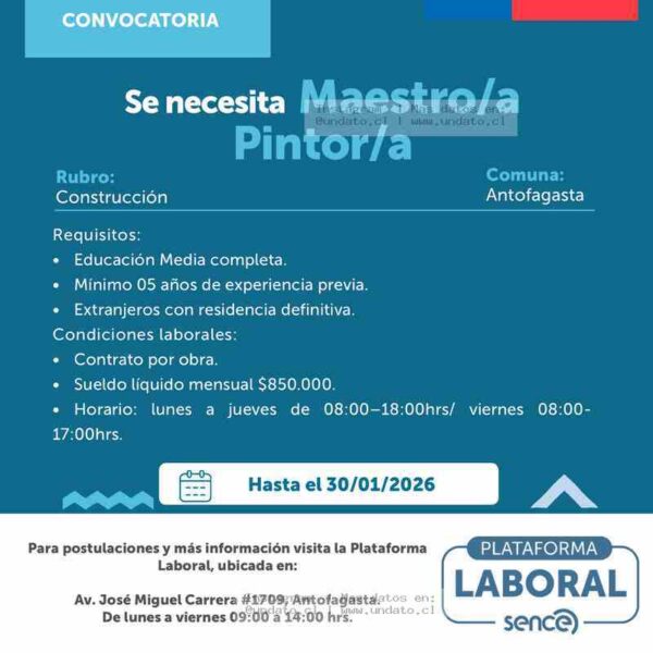 Maestro/a Pintor/a - Construcción