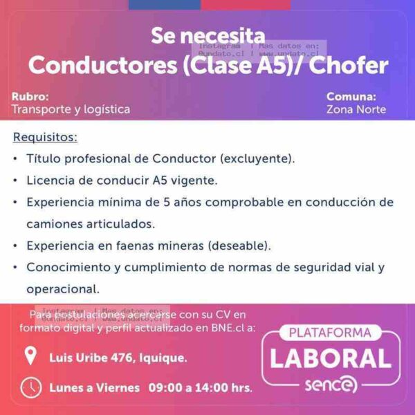 Conductor A5 Zona Norte