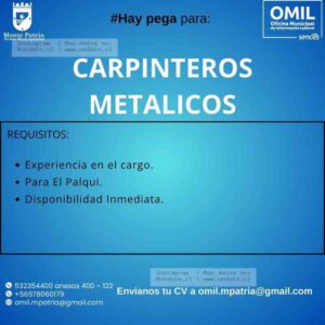 Carpinteros Metálicos – El Palqui