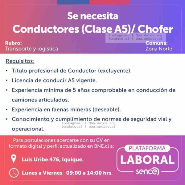Conductores Clase A5 / Chofer