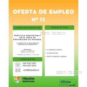 Práctica Profesional en Prevención de Riesgos