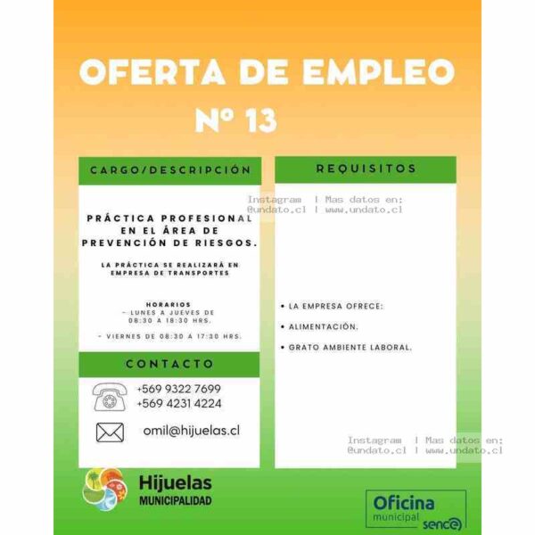 Práctica Profesional en Prevención de Riesgos