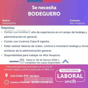 Bodeguero Automotriz - Alto Hospicio