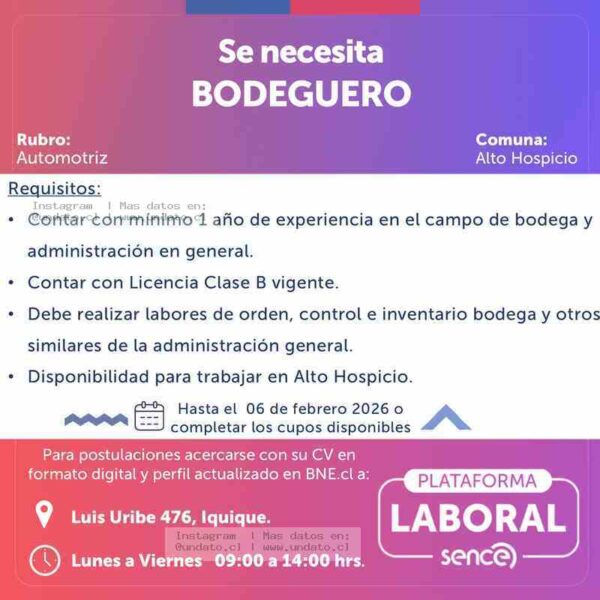 Bodeguero Automotriz - Alto Hospicio