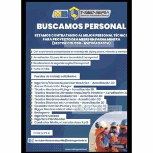 Ingeniería y Técnicos para Proyecto Minero 6 Meses