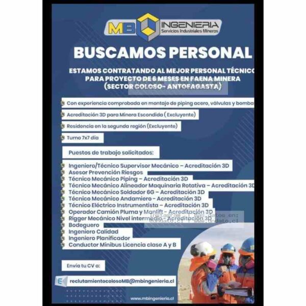 Ingeniería y Técnicos para Proyecto Minero 6 Meses