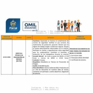 Práctica Técnico en Prevención de Riesgos – Parral