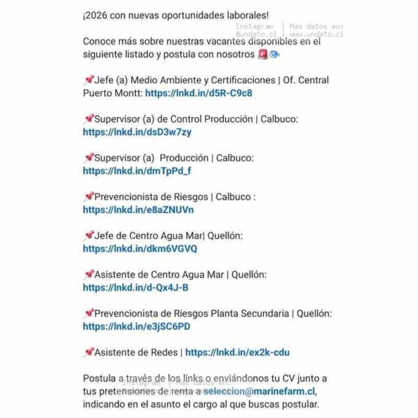 Vacantes Técnicos y Profesionales en Marine Farm Chile