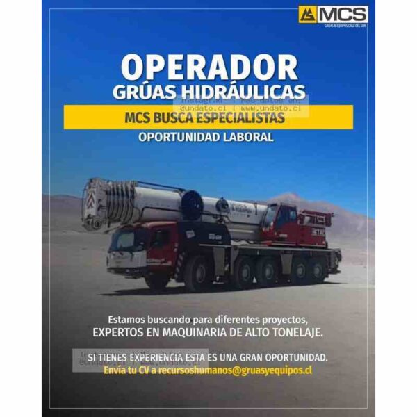 Operadores de Grúas Hidráulicas