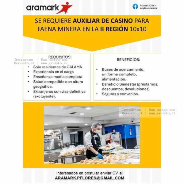 Auxiliar De Casino Para Faena Minera