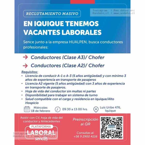 Conductores Profesionales Iquique
