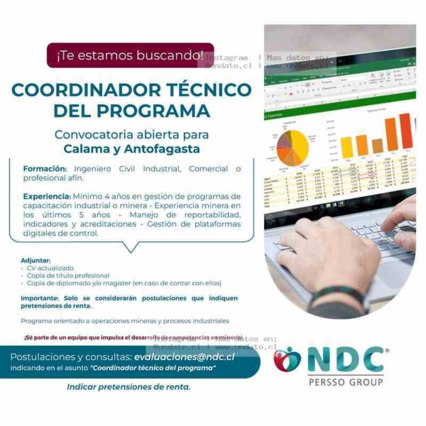 Coordinador Técnico de Programa Minero