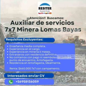 Auxiliar de Servicios Minera Lomas Bayas 7x7