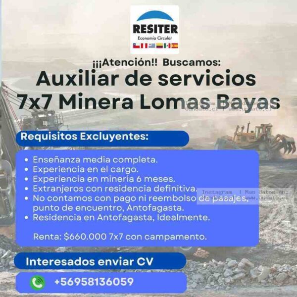 Auxiliar de Servicios Minera Lomas Bayas 7x7