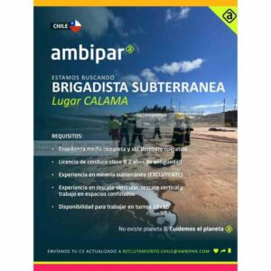 Brigadista Subterránea Calama