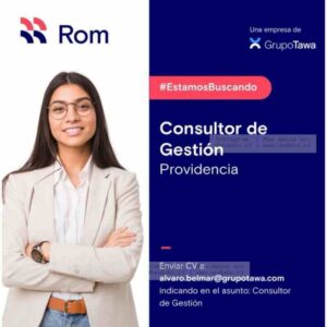 Consultor de Gestión - Providencia