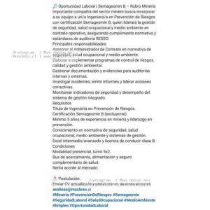 Ingeniero/a Prevención de Riesgos Sernageomin B