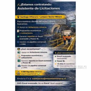 Asistente de Licitaciones Mineras