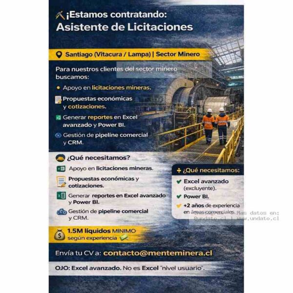 Asistente de Licitaciones Mineras