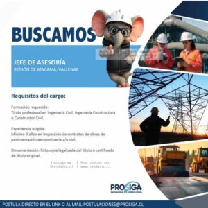 Jefe de Asesoría