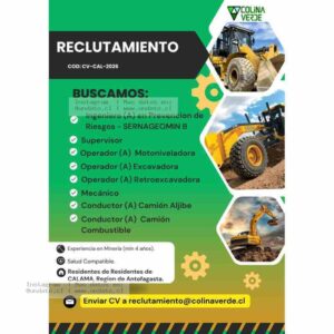Ingeniero en Prevención de Riesgos - Minería