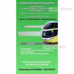 Conductores Profesionales Antofagasta
