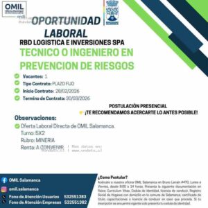 Técnico o Ingeniero en Prevención de Riesgos