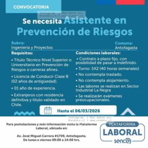 Asistente de Prevención de Riesgos