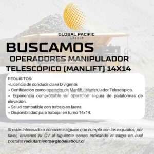 Operadores Manipulador Telescópico 14x14